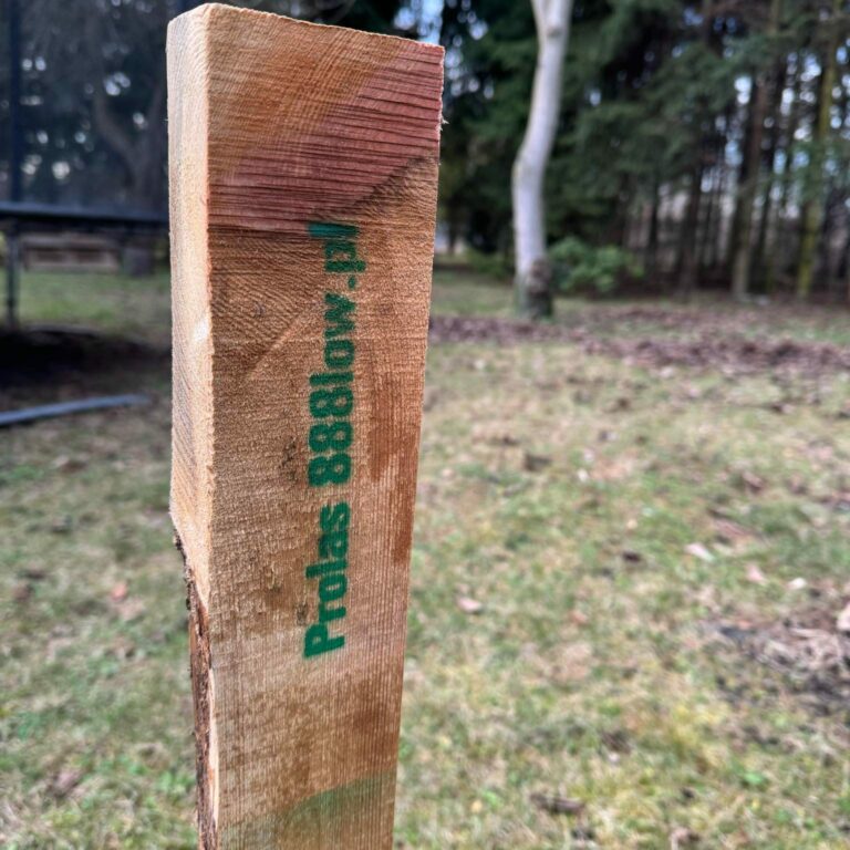 Niebawem niespodzianka :)