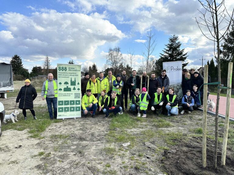Jarzębiny na Chrobrego