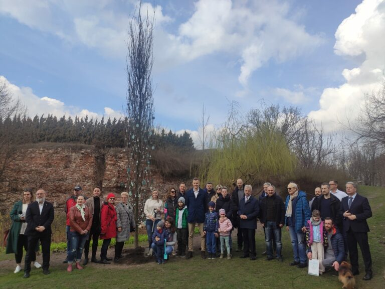 Dąb na zamku posadzony…