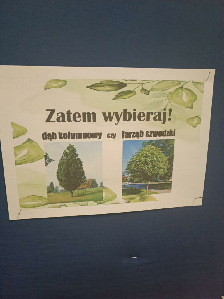 Szkoła Podstawowa w Wygodzie