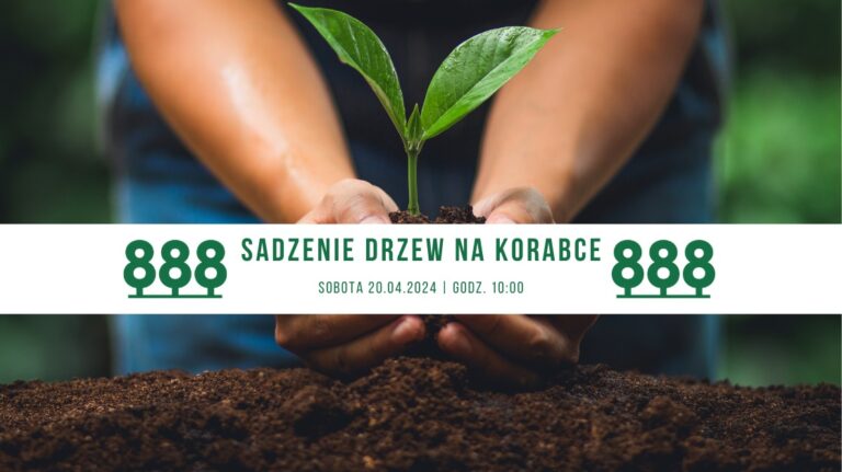 Sadzenie drzew na Korabce – już w sobotę