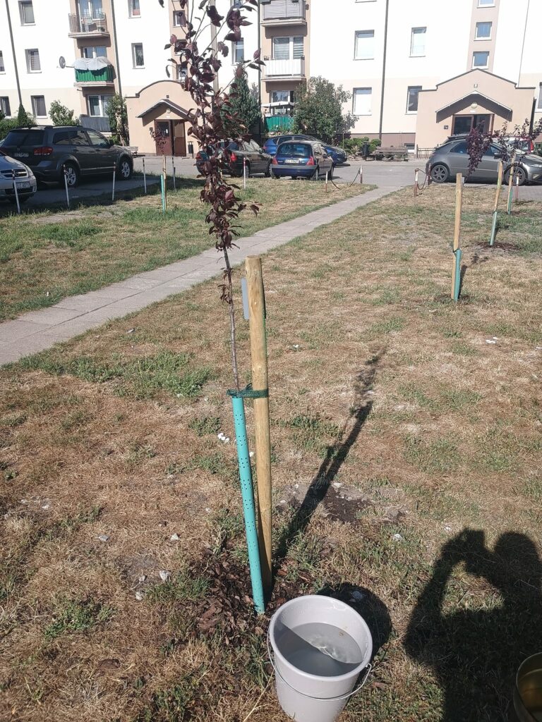 Każda pomoc mile widziana