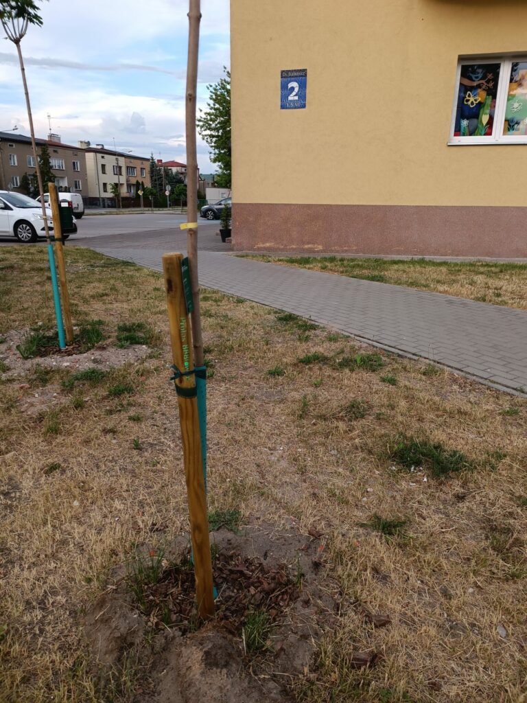 Bratkowice. 900 litrów wody z preparatem wspomagającym ukorzenianie.